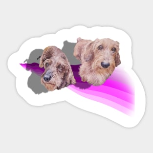 Gorgeous Wire hair Dachshund painting on a 3D style abstract background Sticker